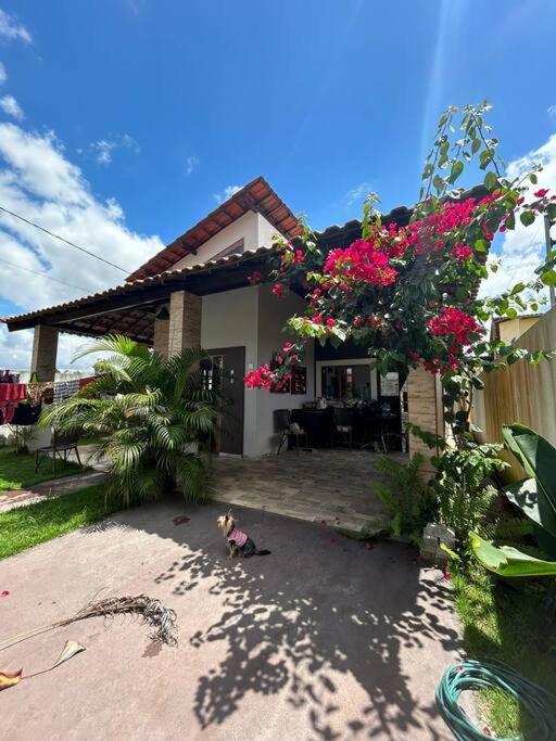 Chale Bananeiras A 800M Da Arena Bananeiras Villa Kültér fotó